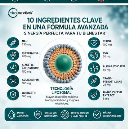 Liposomal NAD+ Ultimate 10 en 1 – Fórmula Avanzada 1000 mg – 60 Cápsulas Vegetarianas